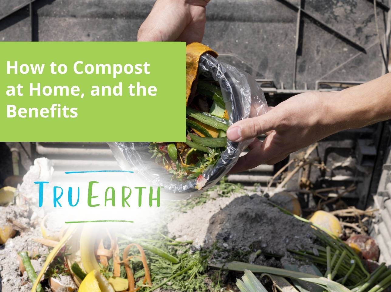 How to Compost at Home, and the Benefits – Tru Earth EU