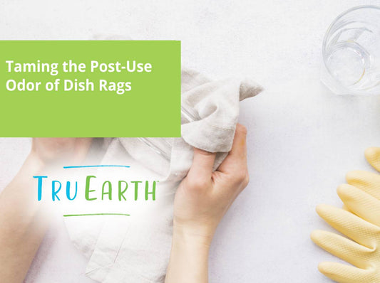 Taming the Post-Use Odor of Dish Rags