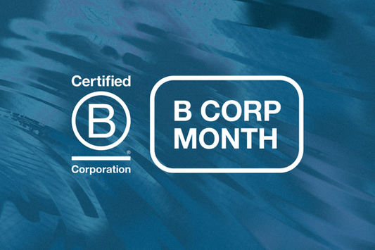Tru Earth is B Corp Certified: What does that mean?